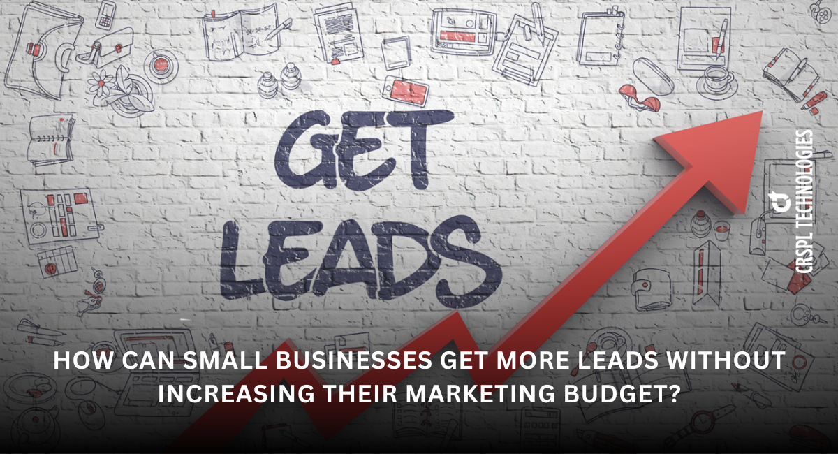 How Can Small Businesses Get More Leads Without Increasing Their Marketing Budget