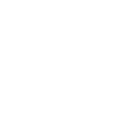 portfolio Icon